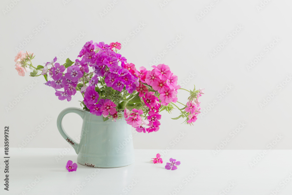Fototapeta premium beautiful floxes in jug on white background