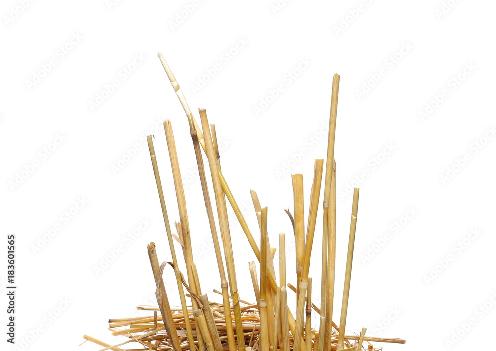 Straw pile isolated on white background, clipping path Straw pile isolated on white background, clipping path