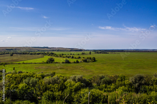 Endless green field in Russia