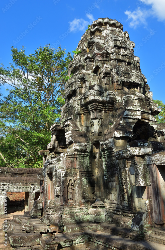 Ta Prohm temple, Angkor Wat, Cambodia