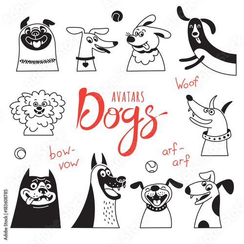 Avatar dogs. Funny lap-dog, happy pug, cheerful mongrels and other breeds.