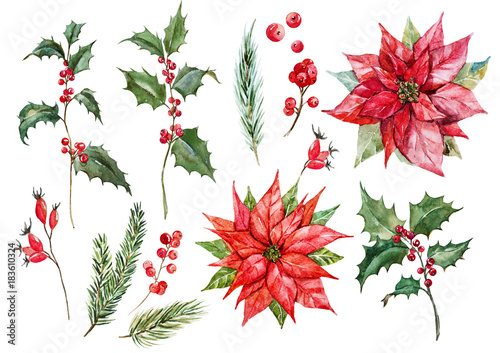 Obraz na plátně Watercolor christmas poinsettia set