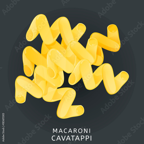 Traditional italian kitchen. Macaroni cavatappi, pasta. Icon isolated on dark background. Vector illustration