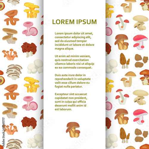 Flat poster or banner template with mushrooms. Vector illustration.