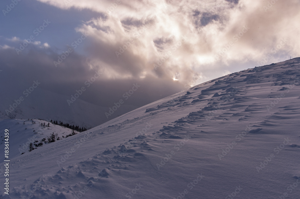 Winter mountain scenery during a blizzard. Western Tatra Mountains.