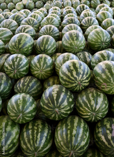 Watermelons in the city market.Uzbekistan.