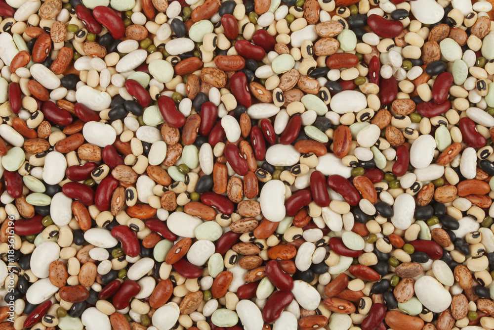 Ten bean mix Ten bean mix
