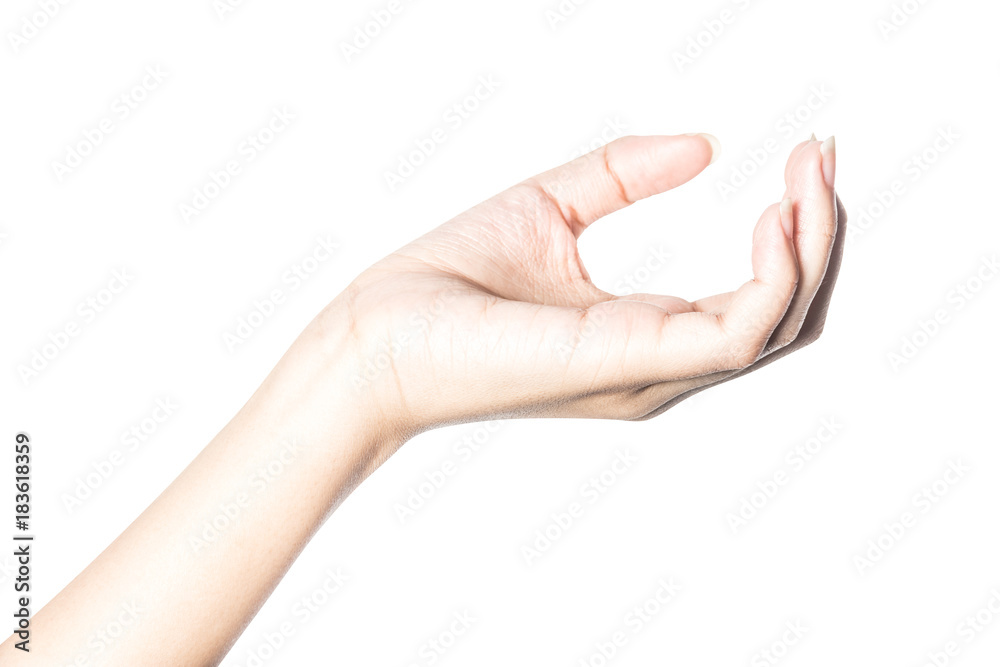 beautiful  hand isolated on white background