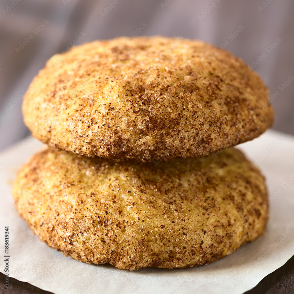 Homemade snickerdoodle cookies with cinnamon and sugar coating, photographed with natural light (Selective Focus, Focus on the front of both cookies)