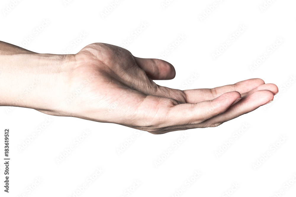 beautiful hand isolated on white background beautiful hand isolated on white background