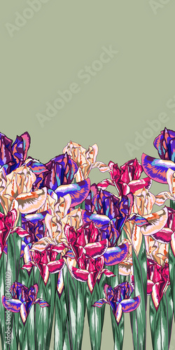 Fototapeta Naklejka Na Ścianę i Meble -  Purple Iris Blossom Vector Seamless Pattern