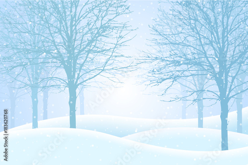 Vector illustration of winter forest with snow and mist, suitable as Christmas card © Forgem