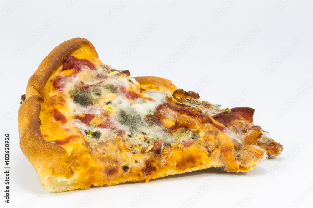 Moldy Pizza  on white background.