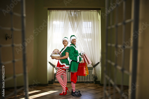 Fototapeta Naklejka Na Ścianę i Meble -  christmas elf 