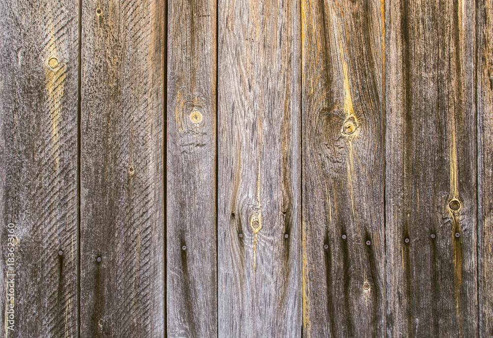 Fototapeta premium wooden wall