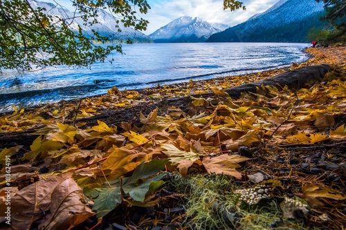 Low perspecitve of autumn leaves on the beach at a mountain lake in the pacific northwest photo