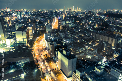 Canvas Print Night cityscape view of Tokyo Japan
