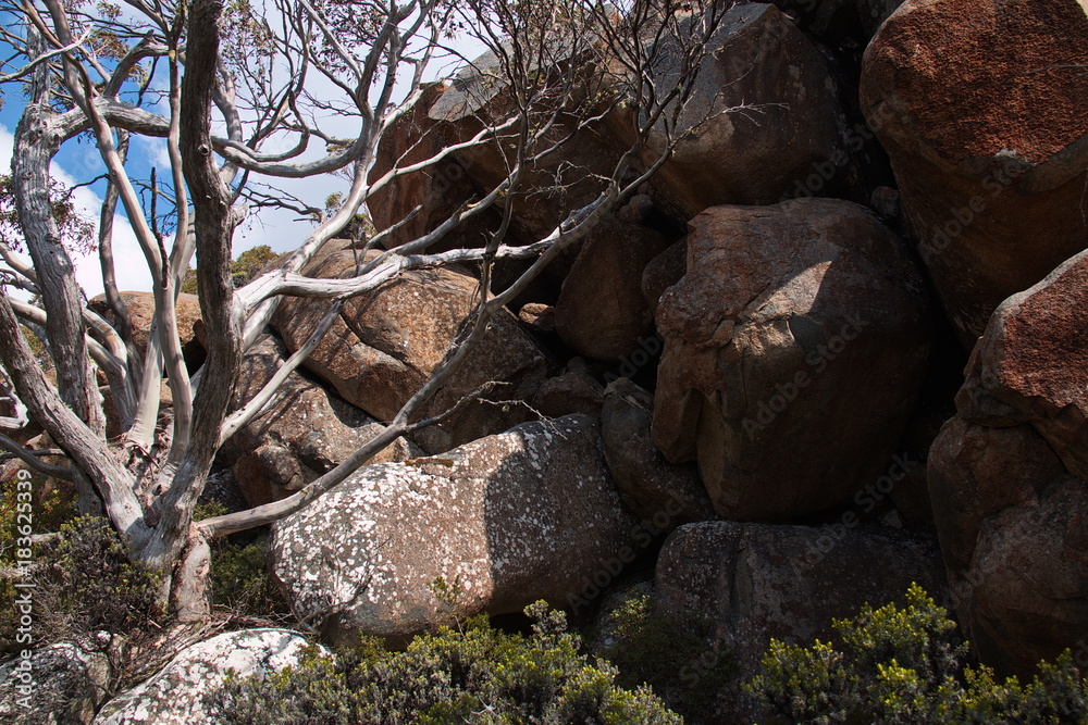 Panorama track on Mount Wellington in Tasmania Panorama track on Mount Wellington in Tasmania