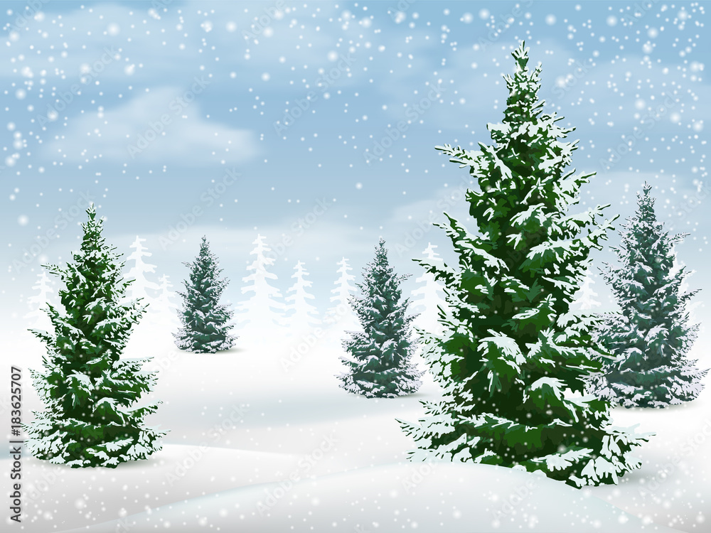 Winter landscape with fir trees. Frosty day in a pine forest. Vector background.