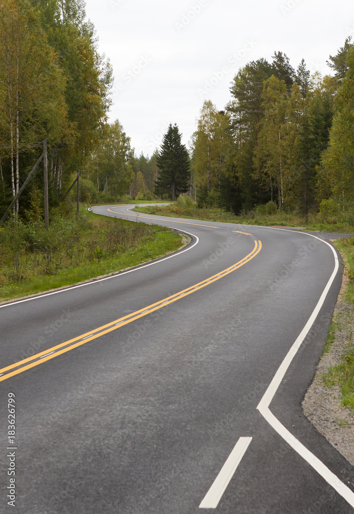 Fototapeta premium Curvy asphalt road on autumn day in Finland. Yellow lines and clean road. Highway to drive.