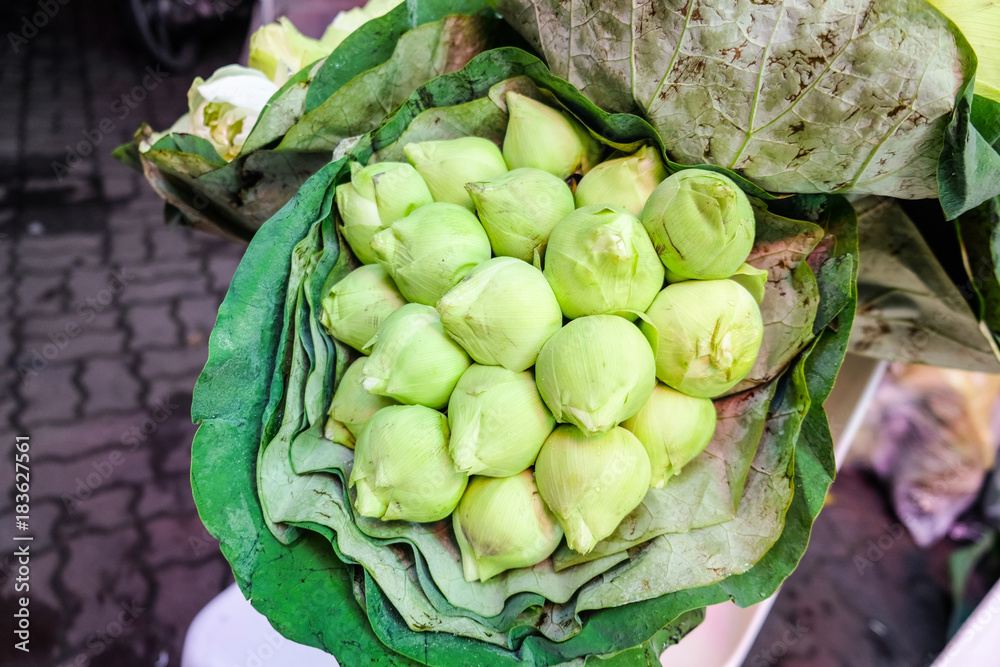 Fototapeta premium The lotus flower in lotus leaf