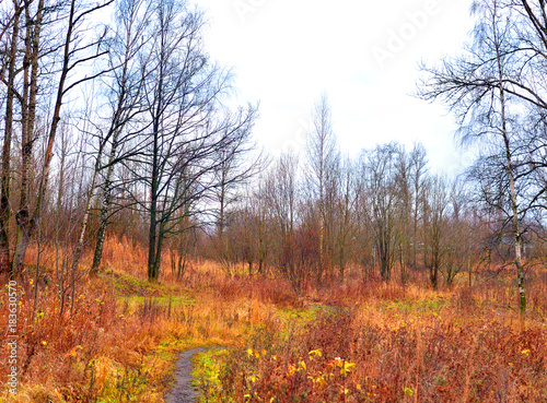 Park at autumn.