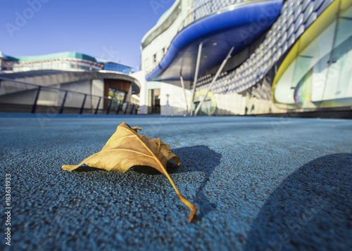 Yellow  Leaf on Blue Concrete with Blurry Modern Buildings Background photo