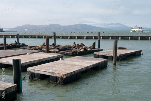 San Francisco Pier 39
