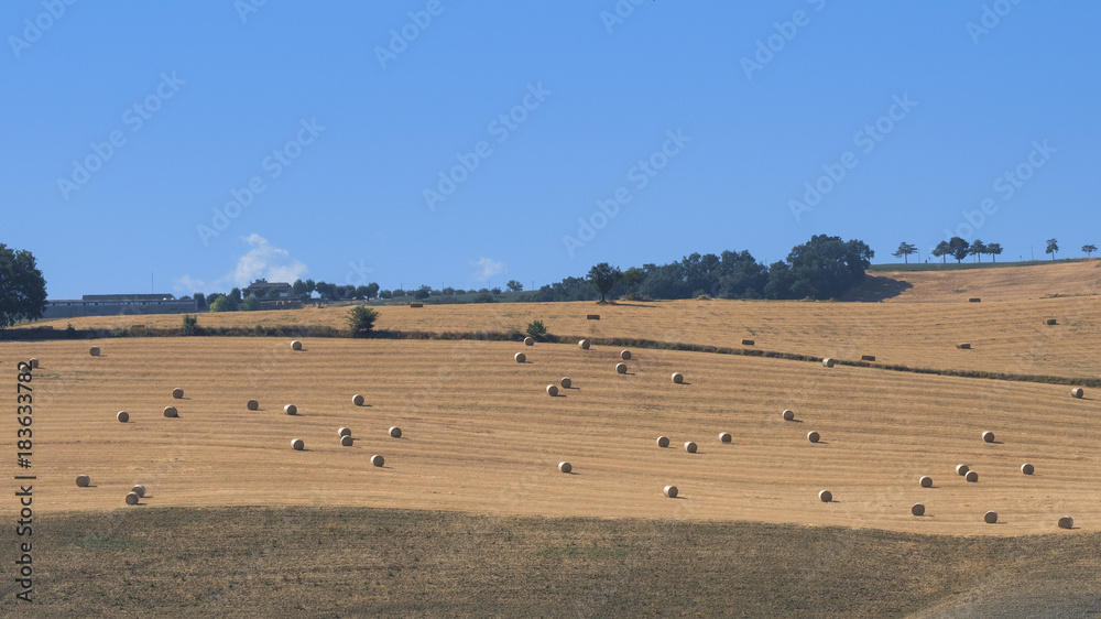 Landscape near Loreto Aprutino (Abruzzi) at summer