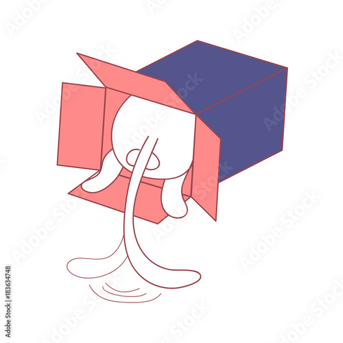 Cat Hide in the Box