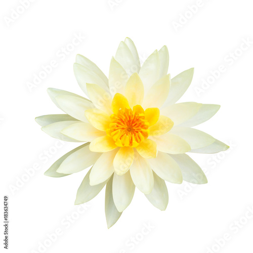 White lotus flower isolated on white background., This has clipping path.