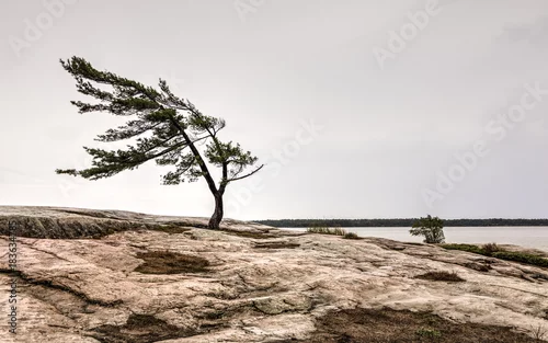 Obraz Spokojny widok na zatokę georgiańską