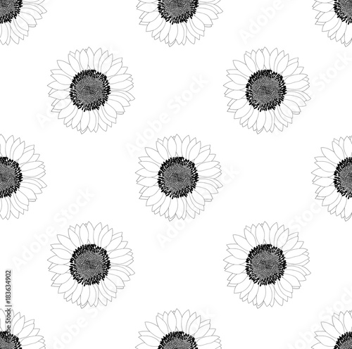 Sunflower Seamless on White Background