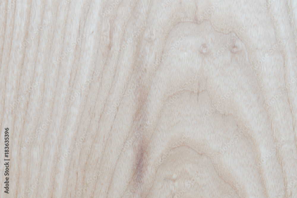Fototapeta premium Abstract Ash Wood texture natural design , used for background website or add text in advertise