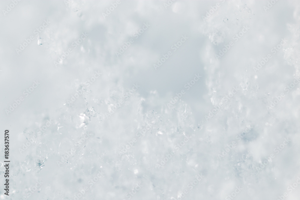 Fototapeta premium Snow in nature as a background. macro