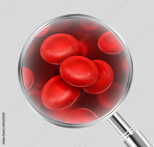 Vector realistic illustration of blood cells under magnifying glass isolated on grey background