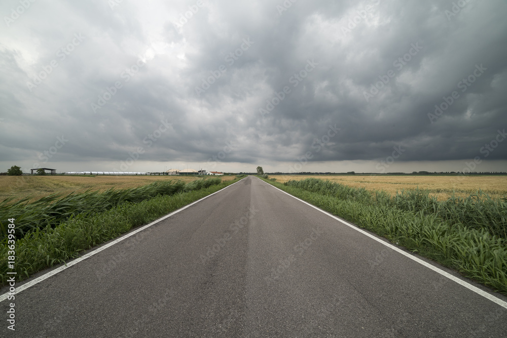 Fototapeta premium sulla strada