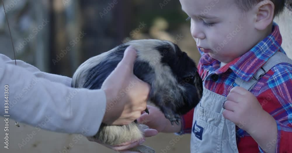 Toddler nervous to hold guinea pig - slow motion Toddler nervous to hold guinea pig - slow motion