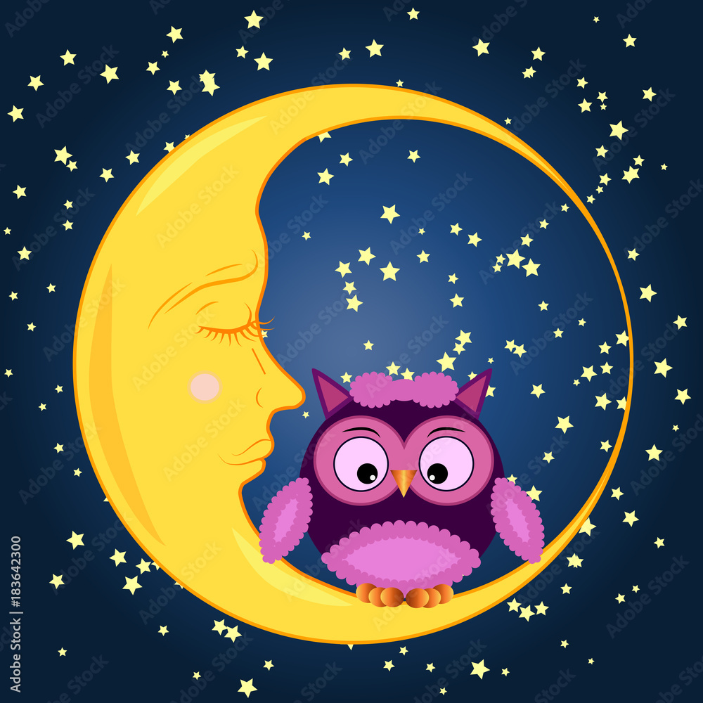 Fototapeta premium Cute cartoon owl sitting on a round dormant crescent moon in the night sky with stars