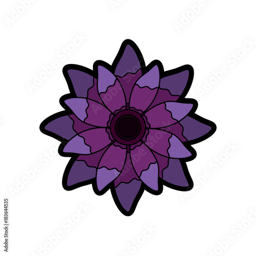 beauty violet flower floral natural petal vector illustration