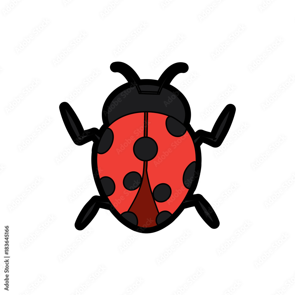 ladybug arthropod insect single icon vector illustration ladybug arthropod insect single icon vector illustration