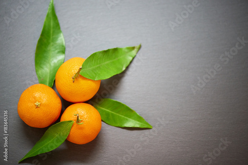 Tangerines with leaves on the slate background, top view