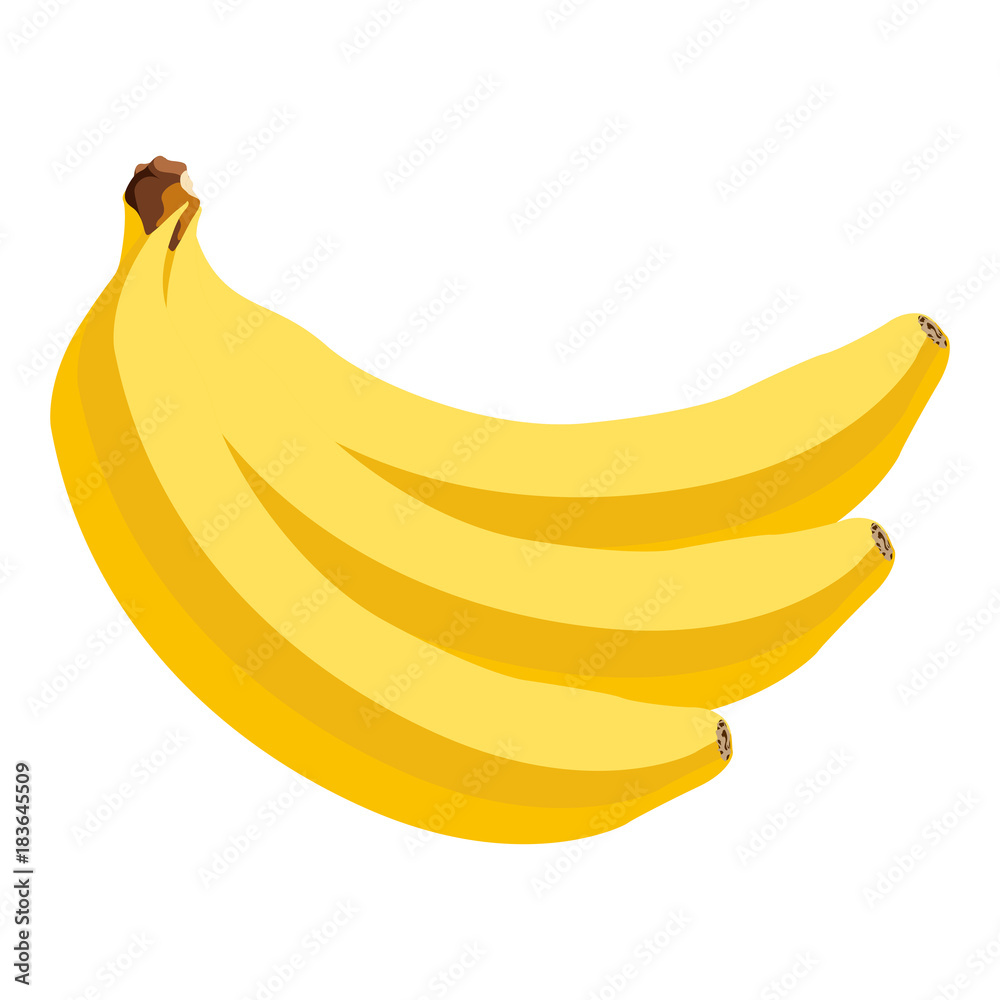 Isolated bananas illustration