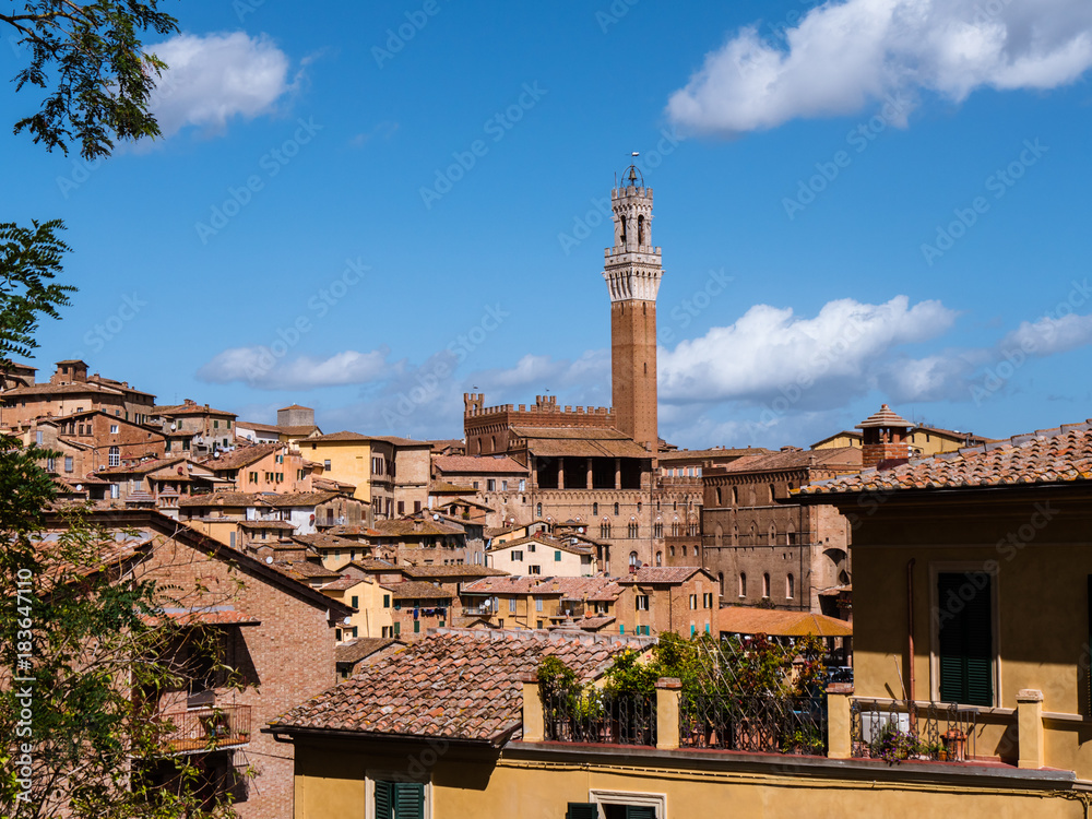 Obraz premium View on the city of Siena