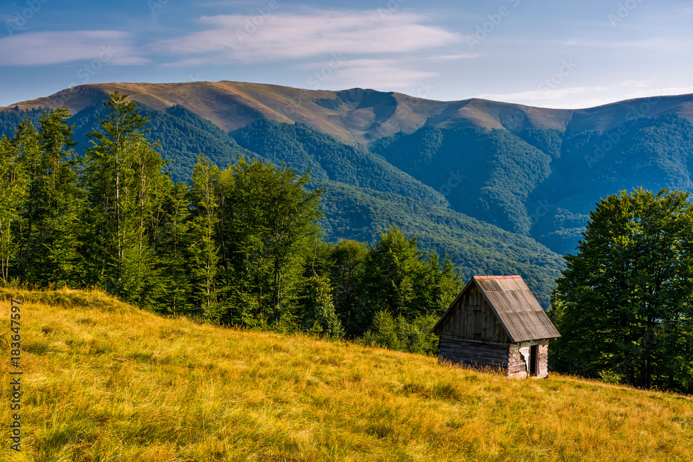 shed on a grassy slope in mountains. beautiful scenery in Carpathians