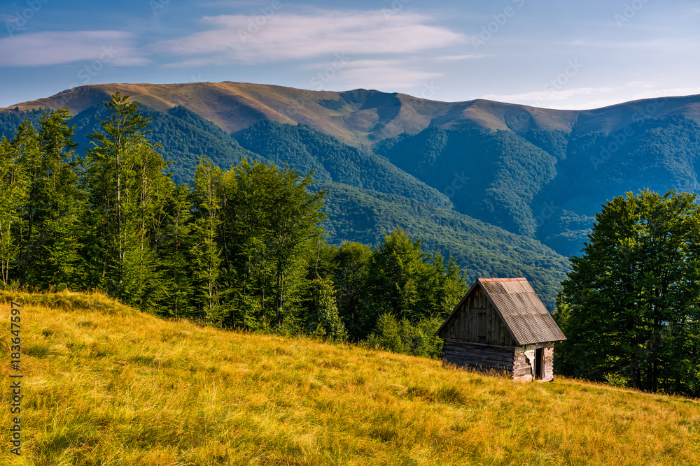 shed on a grassy slope in mountains. beautiful scenery in Carpathians shed on a grassy slope in mountains. beautiful scenery in Carpathians