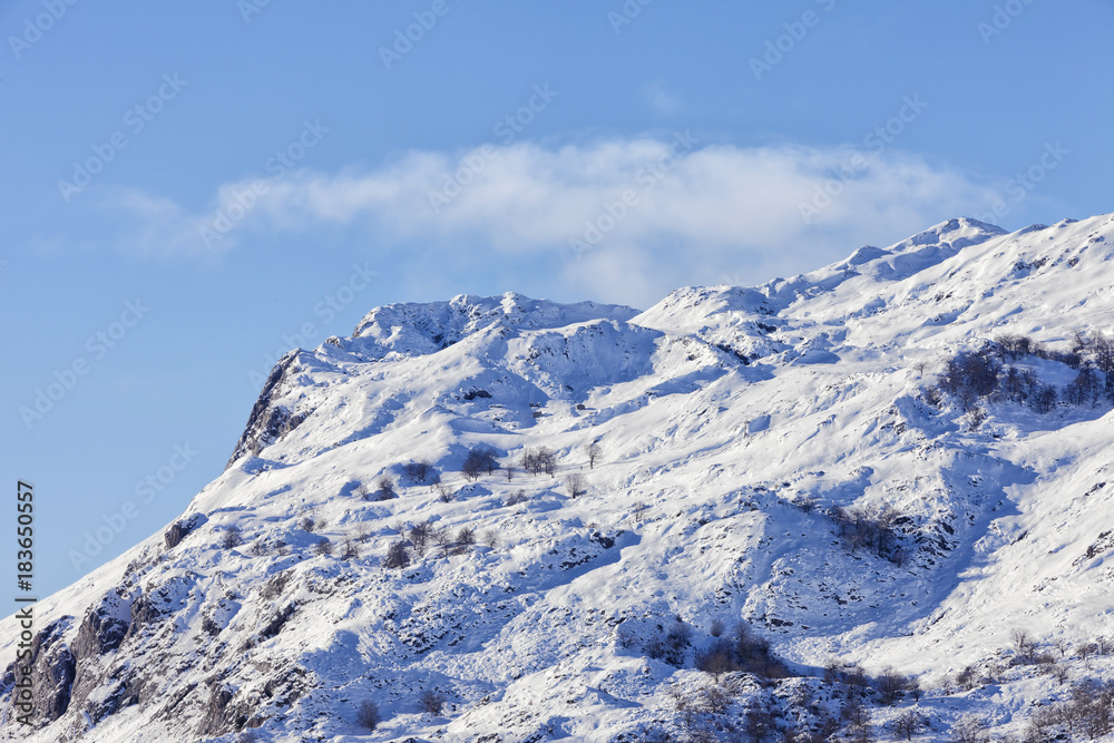 Snowy landscape background with mountains and trees