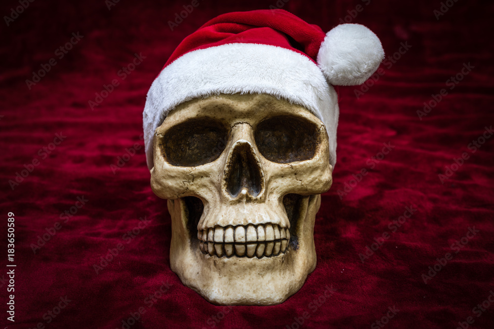 human skull on red background human skull on red background