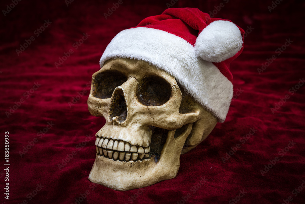 human skull on red background human skull on red background