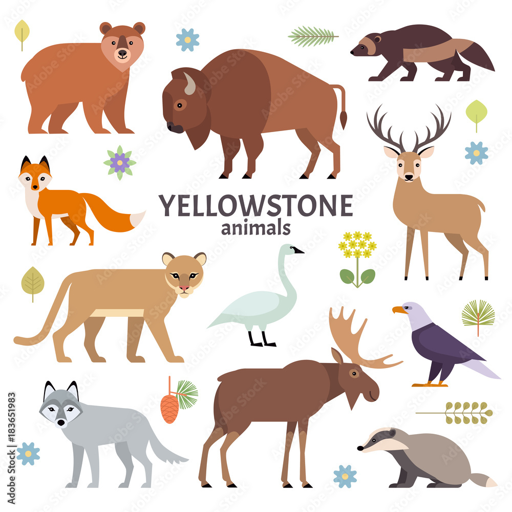 Vector illustration of Yellowstone National Park animals: moose, elk, bear, wolf, fox, bison, badger, wolverine, mountain lion, bald eagle, swan, isolated on white background.